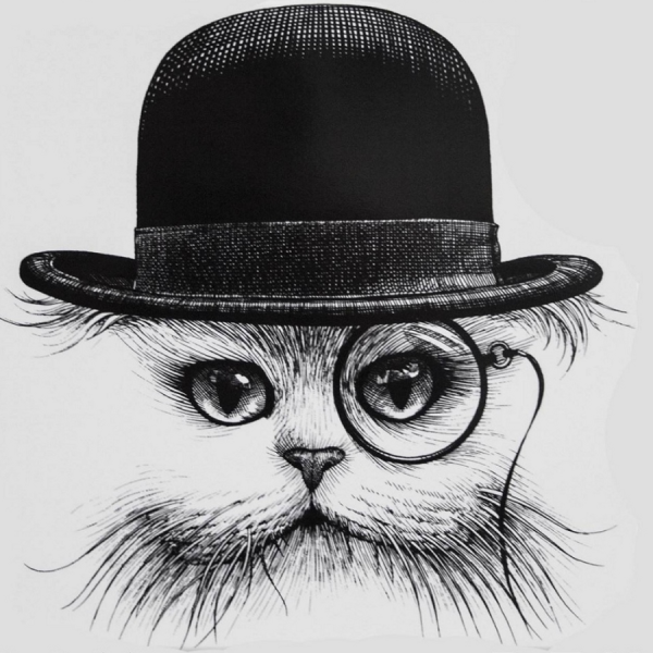 Кошка в шляпе