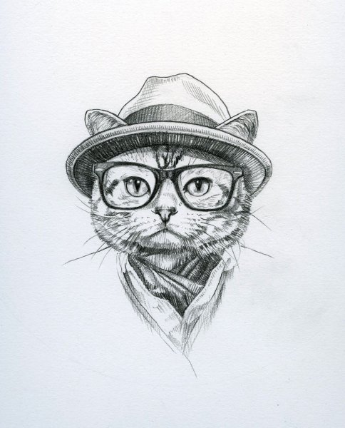 Крутые рисунки котов