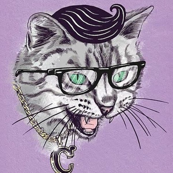 Кот в очках арт