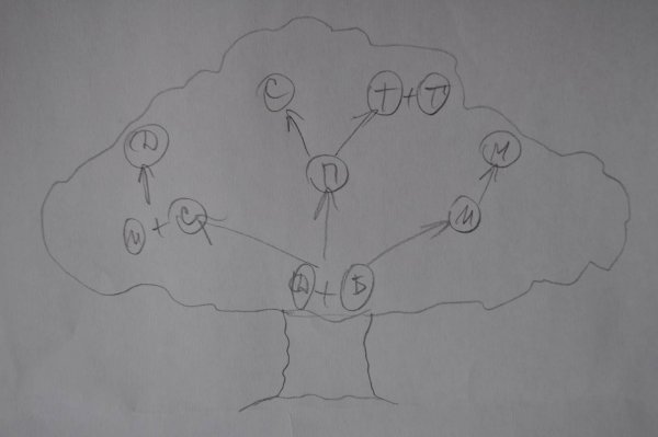 Родословное дерево карандашом