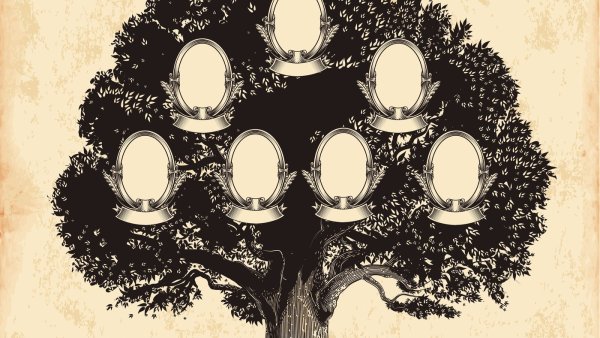 Генеалогическое дерево рисунок карандашом