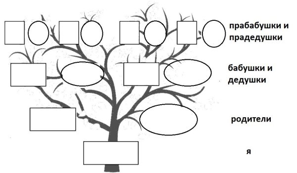 Родословное дерево карандашом