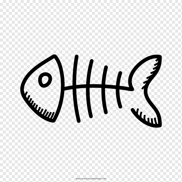 Рыбий скелет