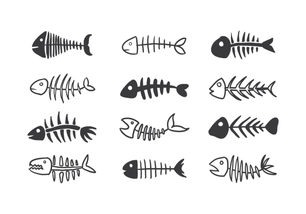 Скелет рыбки вектор