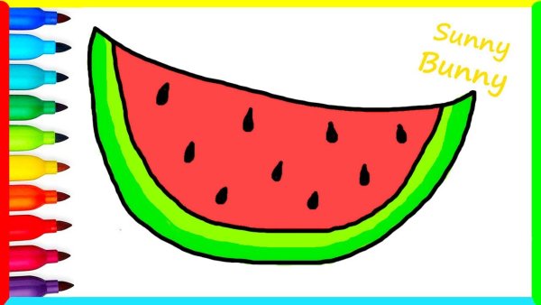Арбуз рисунок карандашом