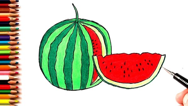 Арбуз и дыня бахчевые раскраска для детей