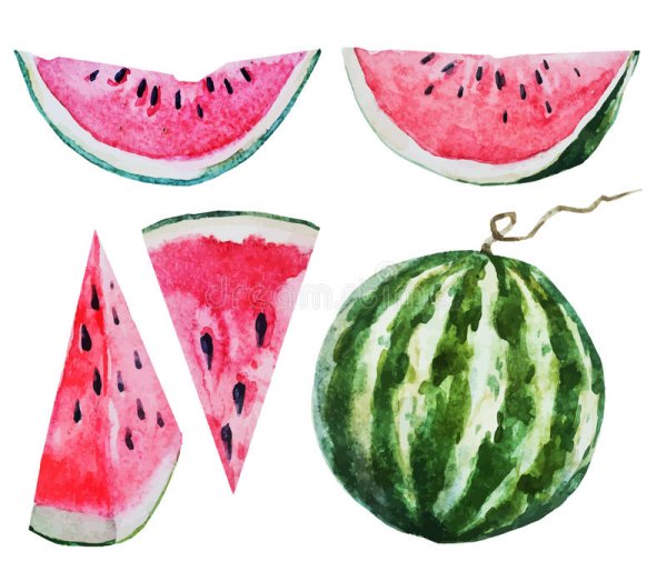 Арбуз нарисовать просто