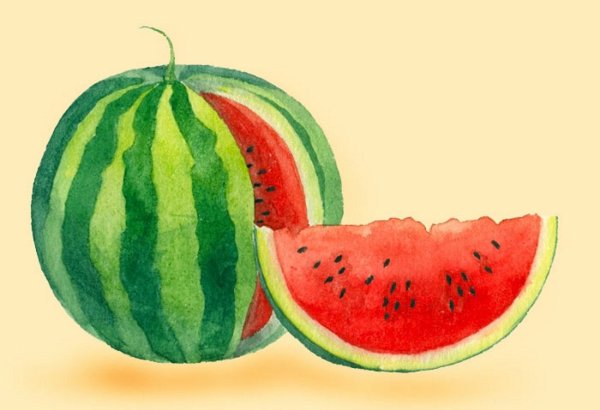 Поэтапное рисование арбуза