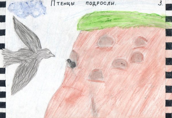 Астафьев Стрижонок скрип иллюстрации