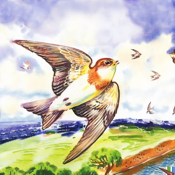 Астафьев в. "Стрижонок скрип"