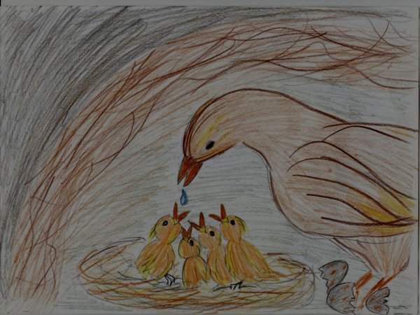 Рисунок к рассказу Стрижонок скрип Астафьев