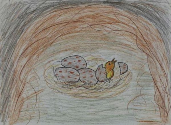 Стрижонок скрип