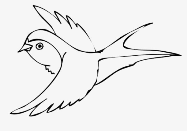 Стрижонок скрип раскраска