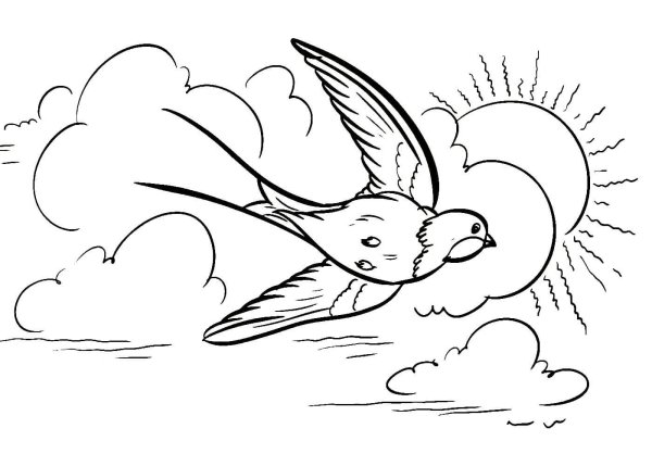 Стрижонок скрип рисунок