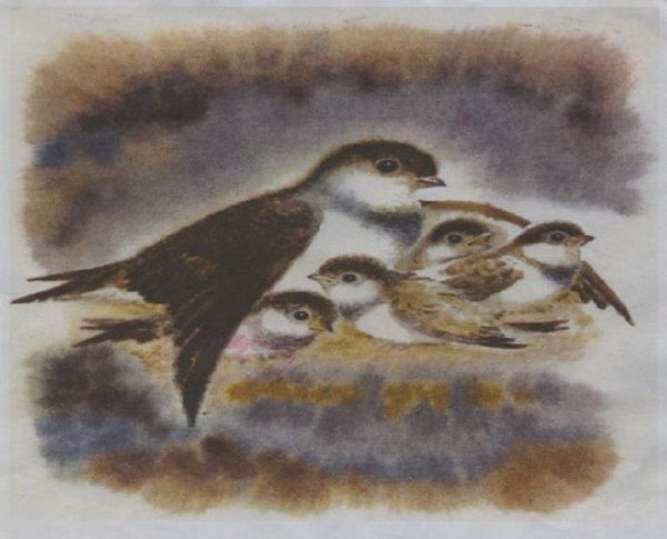 Стрижонок скрип раскраска