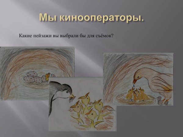 Бианки Лесные домишки Ласточка береговушка