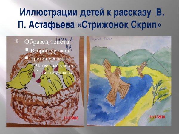 Астафьев Стрижонок скрип раскраска