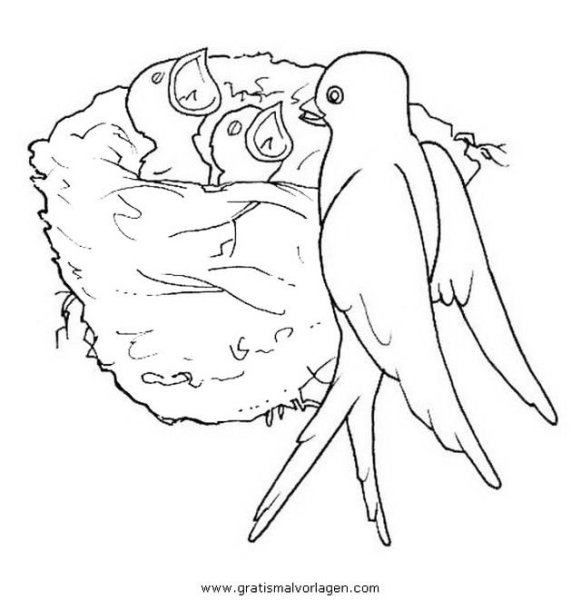 В.П.Астафьев "Стрижонок стрип"