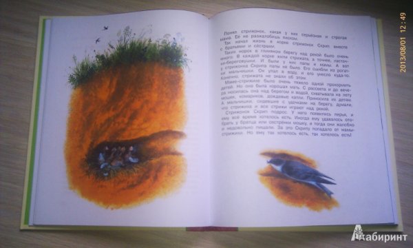 Скрип иллюстрация