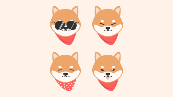 Шиба ину Нита