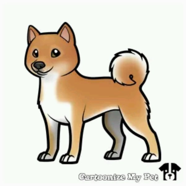Сиба ину для рисования