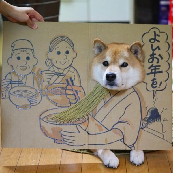 Срисовать сиба ину