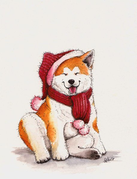 Акита ину иллюстрация