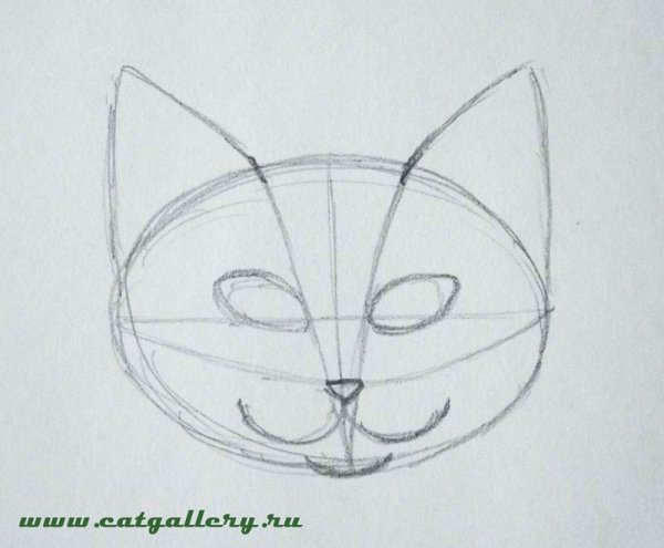 Мордочка котенка карандашом