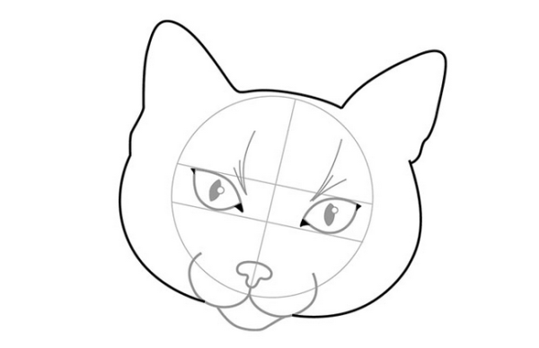 Мордочка котика карандашом