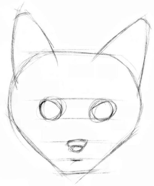 Морда кошки рисунок карандашом