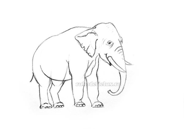 Слон рисунок для детей простой