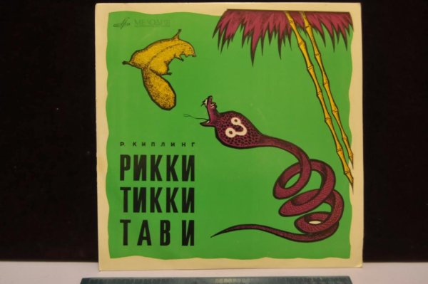 Киплинг Рикки Тикки Тави раскраска