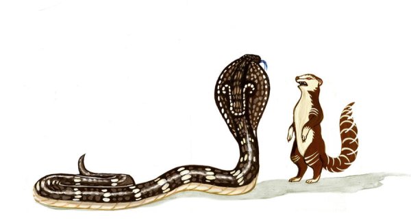 Рикки Тикки Тави Киплинг Лабиринт