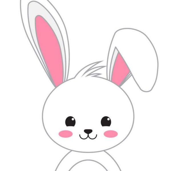 Милые мордочки зайчиков