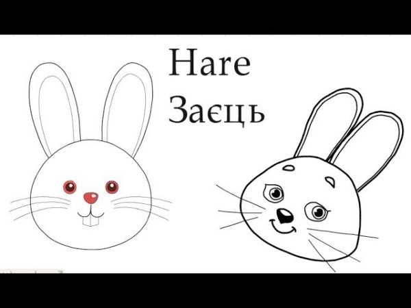 Рисование мордочки зайца
