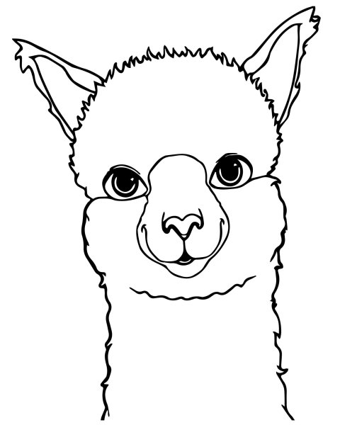 Рисование для детей лама