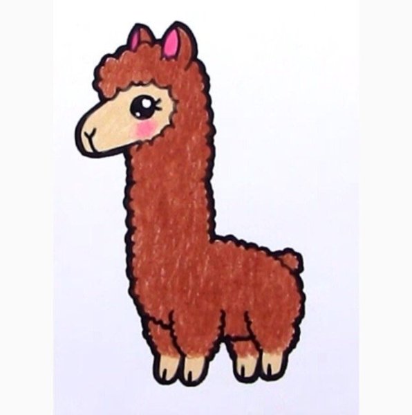 Черно белая лама