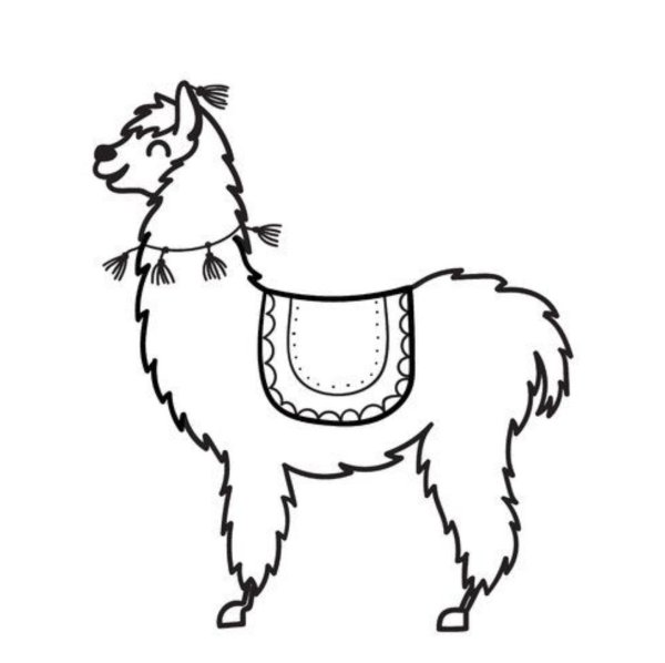 Лама животное