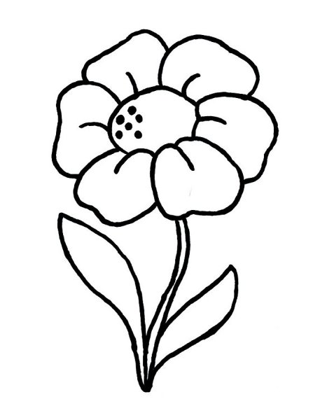 Цветы. Раскраска для малышей