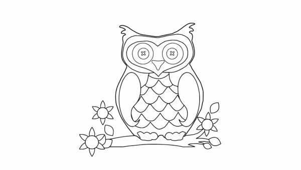 Сова раскраска для детей 1 класса