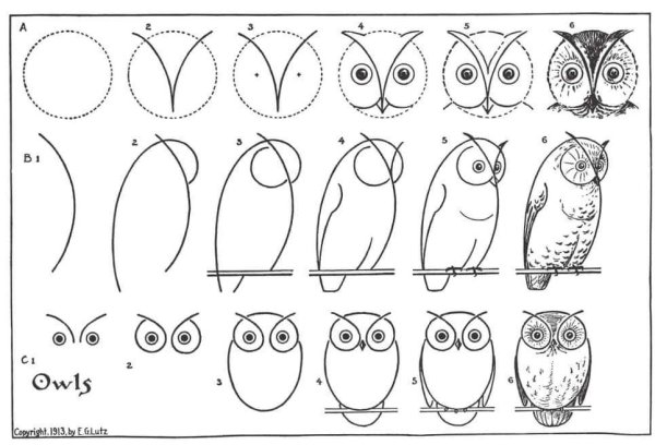 Сова схематично