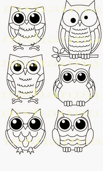 Совушки для срисовки