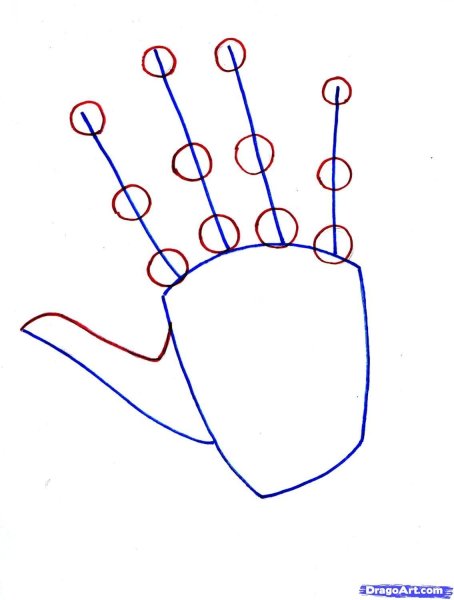Поэтапное рисование ладони