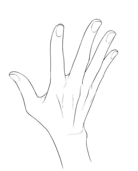 Рука рисунок