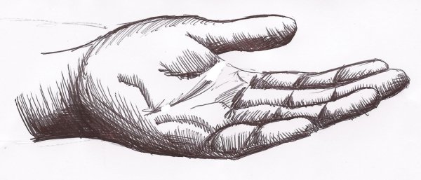 Ладонь эскиз