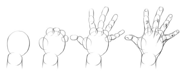 Пошаговое рисование руки человека