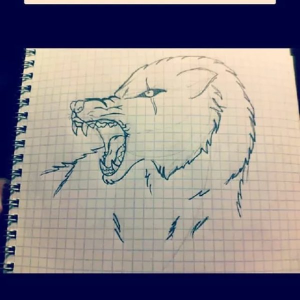 Узоры на листе в клетку