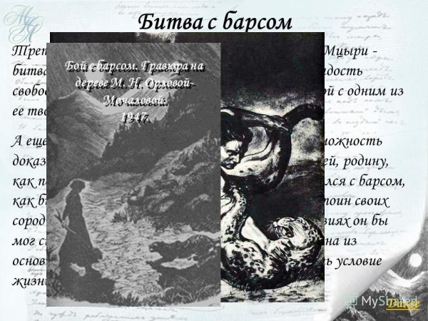 Мцыри леопард