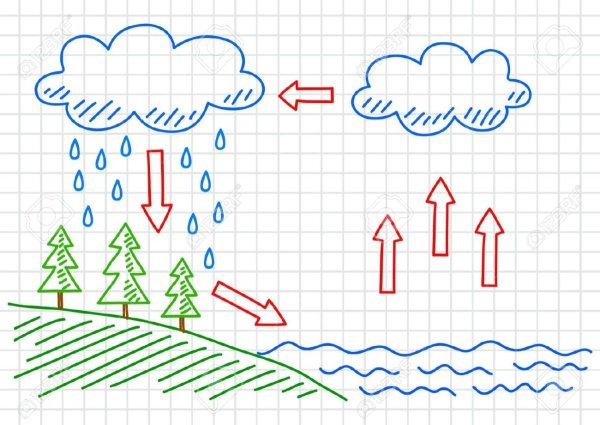 Изобрази круговорот воды в природе