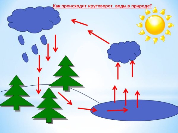 Водоворот воды в природе для детей